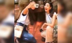 সেলফি শুধু আমরা মানুষরা নেবো কেন?