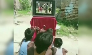 এটা কি টিভি চলছে নাকি লাইভ খেলা