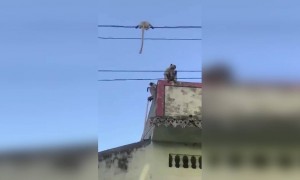 মা বাঁচালো বাচ্চাকে ইলেকট্রিক তারের থেকে