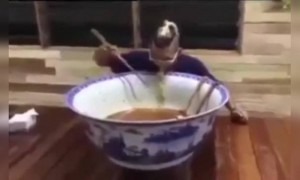 এত খিদে কার পায় ?