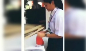 পরীক্ষার আগের রাতে বই খুললে এভাবেই পড়া মাথায় ঢোকাতে হবে