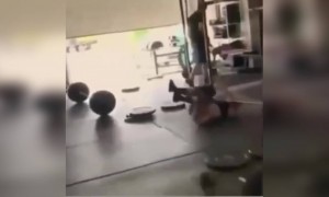 এই কারণে ট্রেনার ছাড়া ব্যায়াম করতে নেই