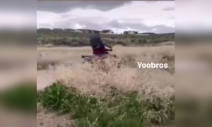 এদের মনে হচ্ছে সিট বেল্ট চাই