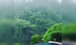 এটা দেখে কেন যেন মনটা শান্ত হয়