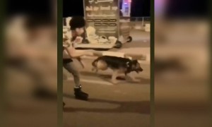 এরকম আগে দেখেছেন কখনো?