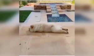 লকডাউনের সময় আমার সারাদিন এরকম লাগে