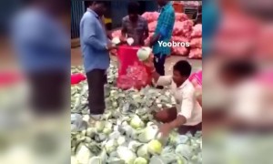 দেখুন কি সুন্দর টীম ওয়ার্ক