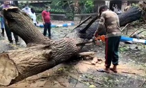আমফানের পর কলকাতা পুলিশের কাজ চলছেই, তাঁদের জানাই সেলাম
