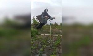 এই কাকতাড়ুয়া দেখে সবাই ভয় পেয়ে যাবে