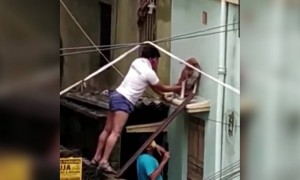 আম্ফানের পর এক আটকে থাকা কুকুরকে বাঁচালেন দুই যুবক