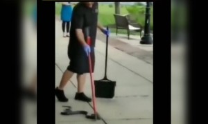 মেয়েটার অনেক সাহস, সবাই এরকম পারবে না