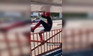 স্পাইডারম্যান কি করে দেখালো দেখুন