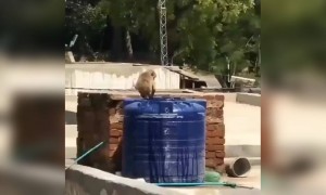 গরমে কেউ থাকতে পারছে না