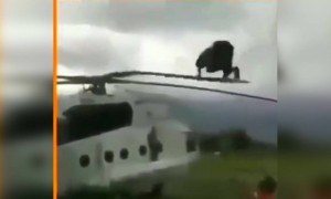 যখন আপনার বাবা আপনাকে খুব দামি খেলনা কিনে দেয়