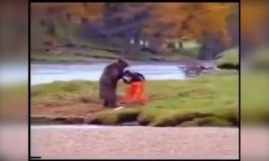 এই ভাল্লুক একেবারে কুংফু জানে দেখছি