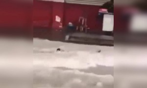 কিছু লোক বন্যাকেও ভয় পায় না