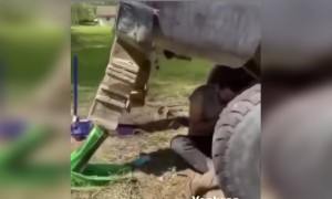 এত রিস্ক নিয়ে কে কাজ করে?