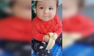 মিষ্টি বাচ্চা বসে খাচ্ছে কলা