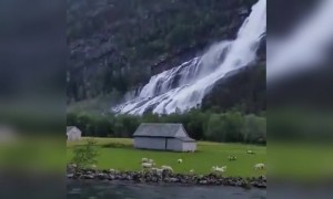 কি সুন্দর প্রাকৃতিক দৃশ্য দেখুন