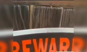 গেটের ওপারে মালিক নিজেই বসে আছেন