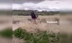 এদের মনে হচ্ছে সিট বেল্ট চাই