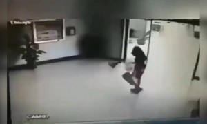 থ্রী ইডিয়টস দেখুন