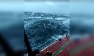 সমুদ্রের মাঝে থাকা একদম সহজ নয়