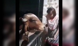 দেখুন আজকের সবচেয়ে সুন্দর ভিডিও