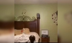 বিনা কারণে জ্যাকি চ্যাং হওয়ার কি দরকার?