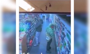 চুরি বিদ্যা মহাবিদ্যা, যদি না পড়ো ধরা