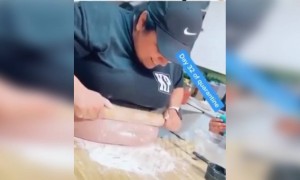 ঘরে বসে পেট পাতলা করার এক উপায় দেখুন