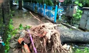 শেক্সপিয়র সরণির অবস্থা দেখুন কি হয়েছে আম্ফানের জন্য