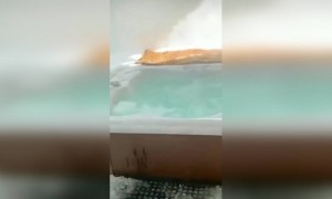 এত সুন্দর বাথ টব দেখুন