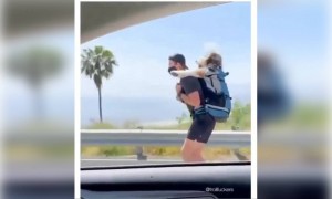 কুকুরটা বেশ মজাতেই আছে