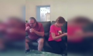 এই দেখে শিক্ষা নেওয়া উচিত যে চুরি করে খেতে নেই