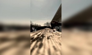 কি সুন্দর ভিডিও এটা