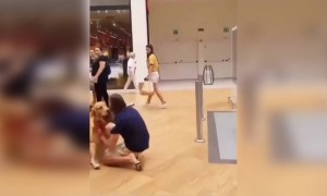 কুকুরটা ভীতু আছে