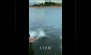 নৌকা চালানোর লোক নিজেই জলে লাফিয়ে পড়লো