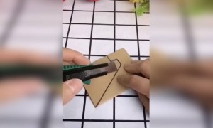 কি সুন্দর দেখুন মোবাইল হোল্ডার