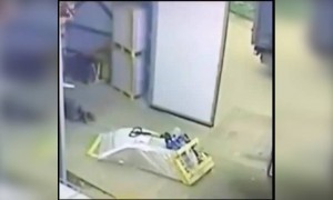 বেশি ভারী জিনিস নিয়ে কাজ করতে গিয়ে কি হলো দেখুন