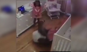 দেখুন বাবা ঠিক বাঁচিয়ে নিলেন তার মেয়ে কে