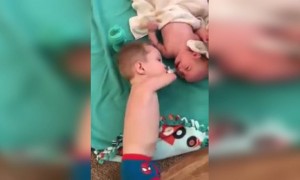 পৃথিবীতে এর থেকে বেশি সত্য ভালোবাসা হয় না