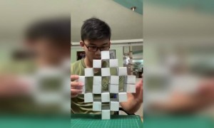 কি সুন্দর এই জিনিস দেখুন