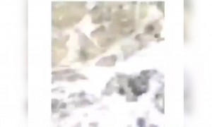 কি ভেবেছিলাম আর কি করতে হচ্ছে আজকাল