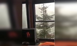 হোটেল রুমটা কি সুন্দর