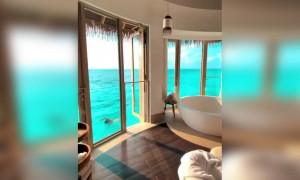 সাঁতারের ভিডিও ।