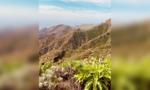 এই ভিডিওটিতে উপভোগ করুন পাহাড়ে আচ্ছন্ন প্রকৃতির রূপকে