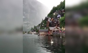 প্রাকৃতিক সৌন্দর্য্যে ঘেরা জায়গাটি ।