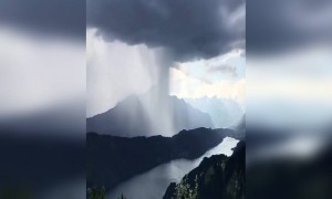 প্রকৃতির রূপ ।