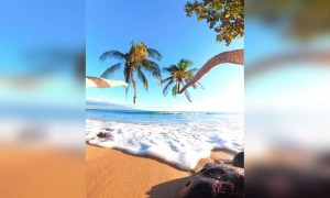 সি বিচ ।